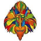 Monkey/S